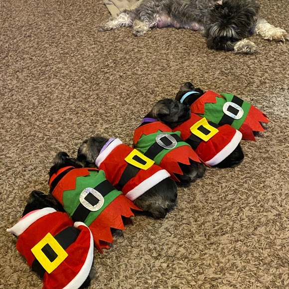 Meet your Posher, Terri - Picture 9 of 12